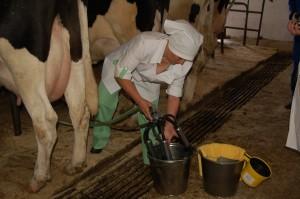 Живое молоко