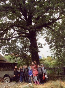 Этот дуб – природный памятник