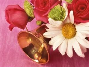 школьников становится все больше