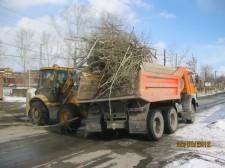 обрезка тополей