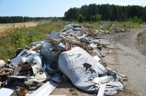 в окрестностях поселка Первомайский