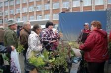 на ярмарке в Сысерти