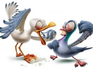 чайка-голубь-драка