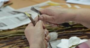 Садоводы учатся делать прививки