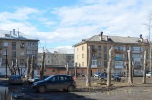 пни вместо деревьев