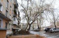 Подают тополя
