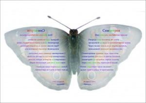 Поэтографика