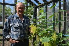 Двуреченский виноградарь Николай Вениаминович Девятых