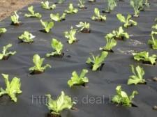 Черный укрывной материал