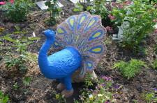 На усадьбе Южаниковых