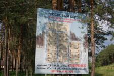 Строится коттеджный поселок в Каменке