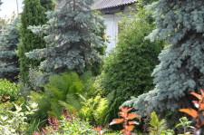 Усадьба Пермяковой