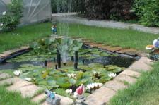 Усадьба Суриных водоем