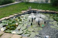 Усадьба Суриных