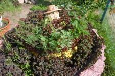 Уют создают жильцы