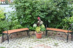 Усадьба Кодрян2