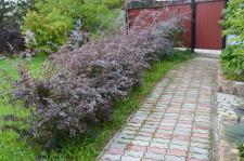 Усадьба Кодрян4