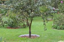 Усадьба Кодрян7