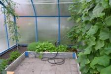 Усадьба Кодрян9