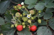 Виктория Засыпкина