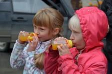 день двора2