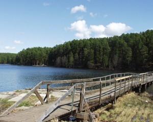 Мост к поселку Луч