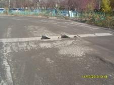 VLUU L110, M110  / Samsung L110, M110