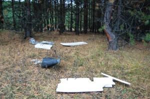 Легкий мусор раздувает по лесу