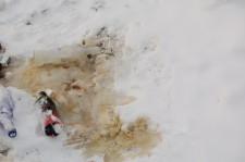 Туалет закрыт, а в результате он вокруг всей автостанции