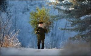 Фото с сайта: blogs.germany.ru