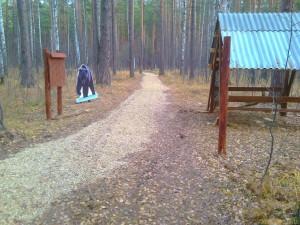 Одна из оборудованных туристических троп