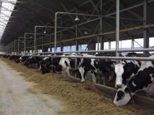 агрофирма “Патруши”