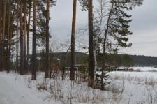 Новые коттеджи в Луче