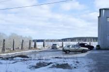 Обезглавленные деревья в центре села Патруши