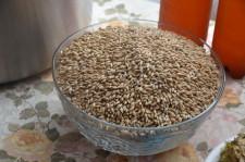 домашняя пивоварня3