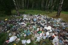 Свалка в заповедном лесу