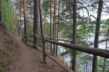 Мост к поселку Луч