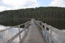 Мост к поселку Луч13