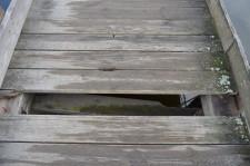 Мост к поселку Луч15