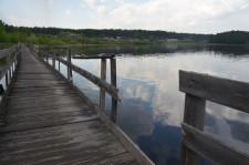 Мост к поселку Луч6