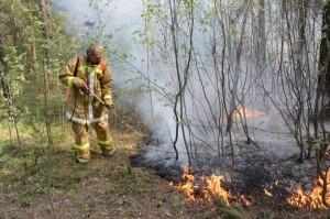 Тушение леса в Бобровском
