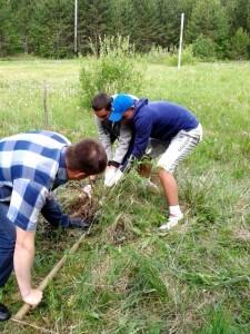 Отряд Трудовой десант п. Бобровский почистил аллею Памяти