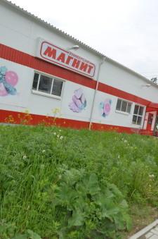 Сорняки у Магнита