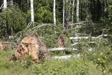 Ураган в Щелкуне10