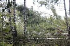 Ураган в Щелкуне6