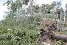 Ураган в Щелкуне8