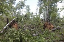 Ураган в Щелкуне9