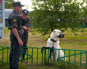 Фото с сайта pda.top.rbc.ru