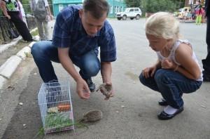 2 залипалово за ежей