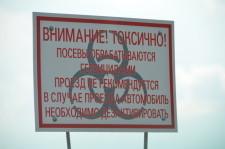 Коллеи в полях2